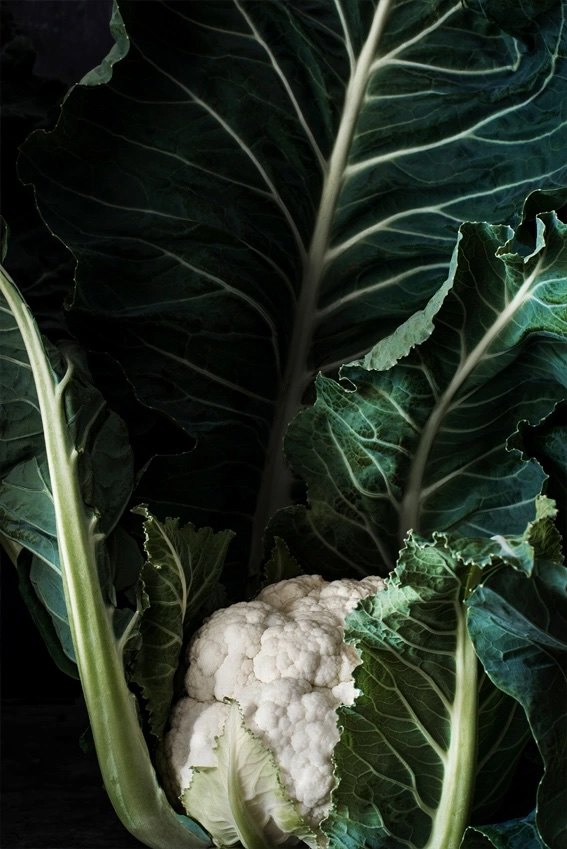 Cauliflower leaves
